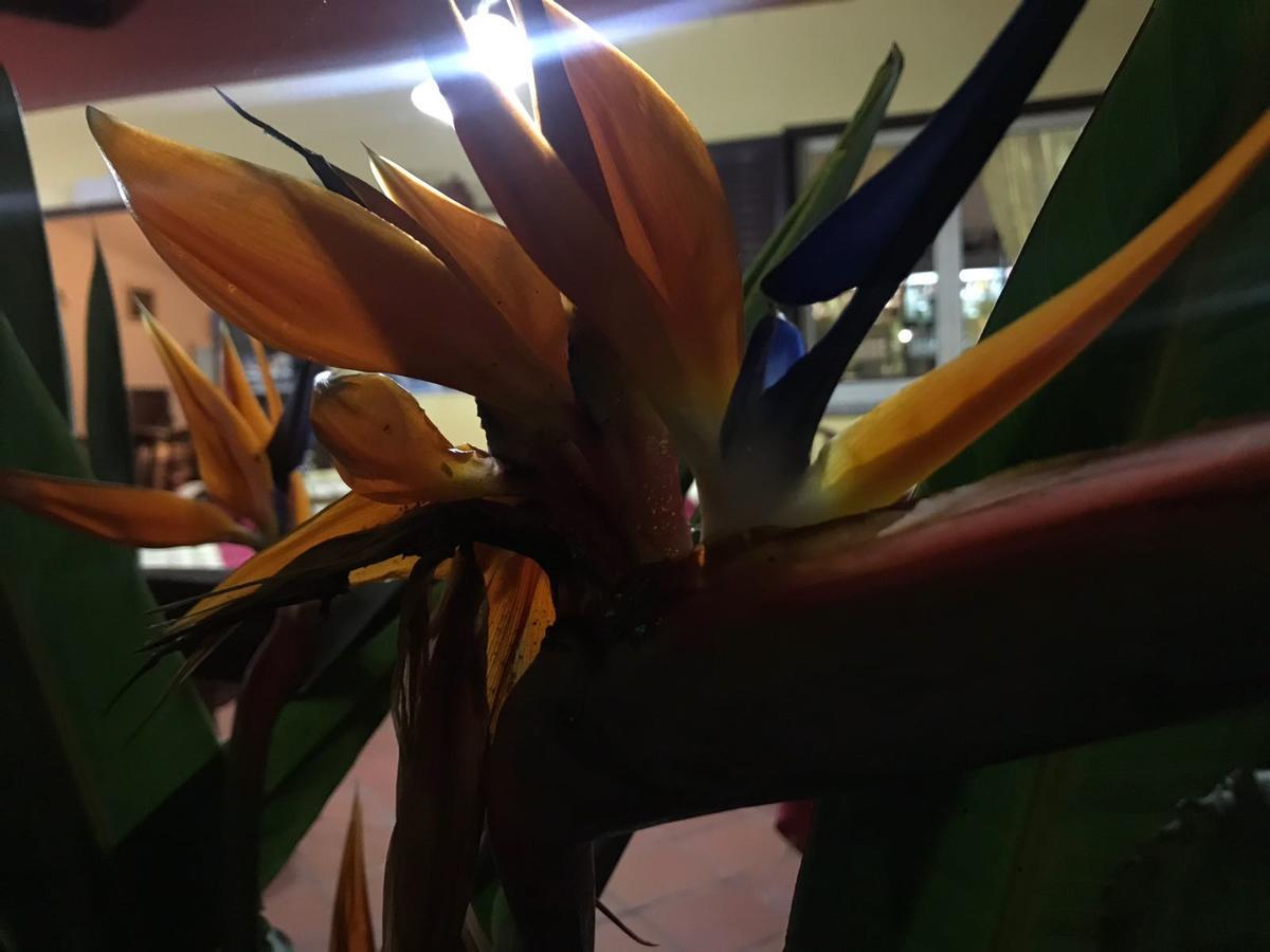 קאפו ואטיצ'אנו Europa Rooms And Restaurant מראה חיצוני תמונה